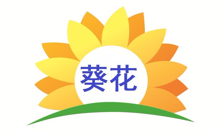【葵花】年终总结与法律培训